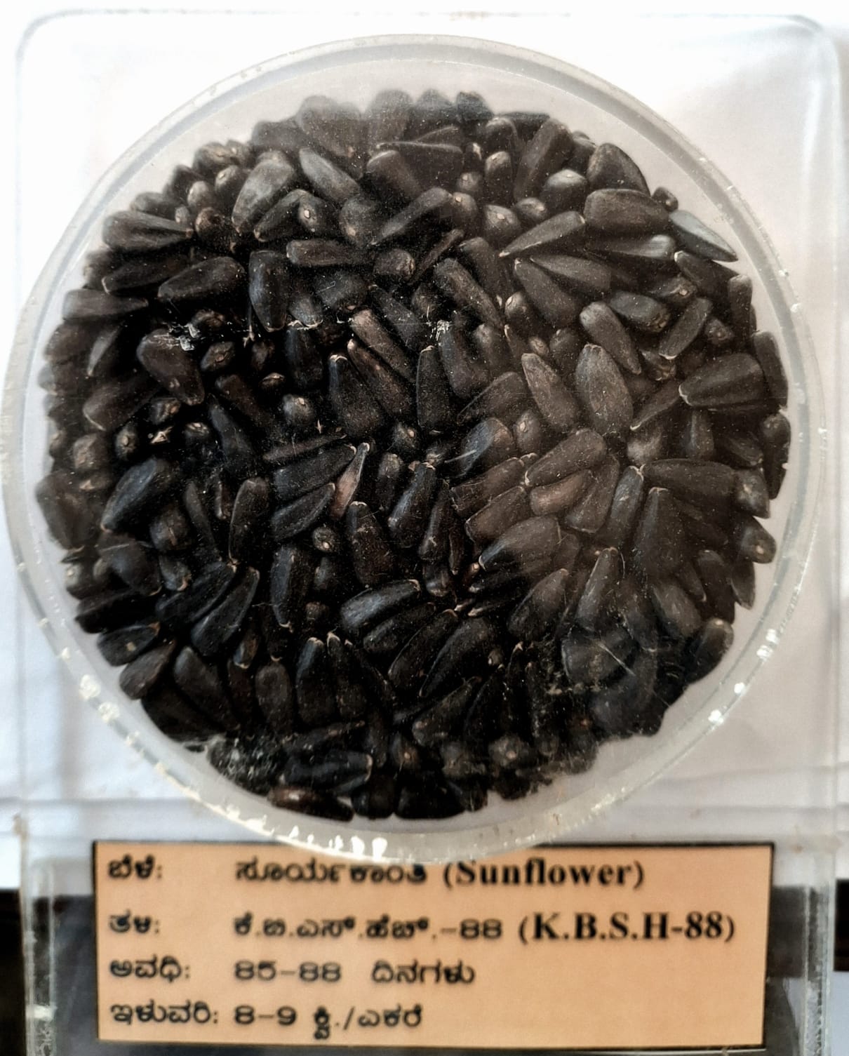 Seed photo